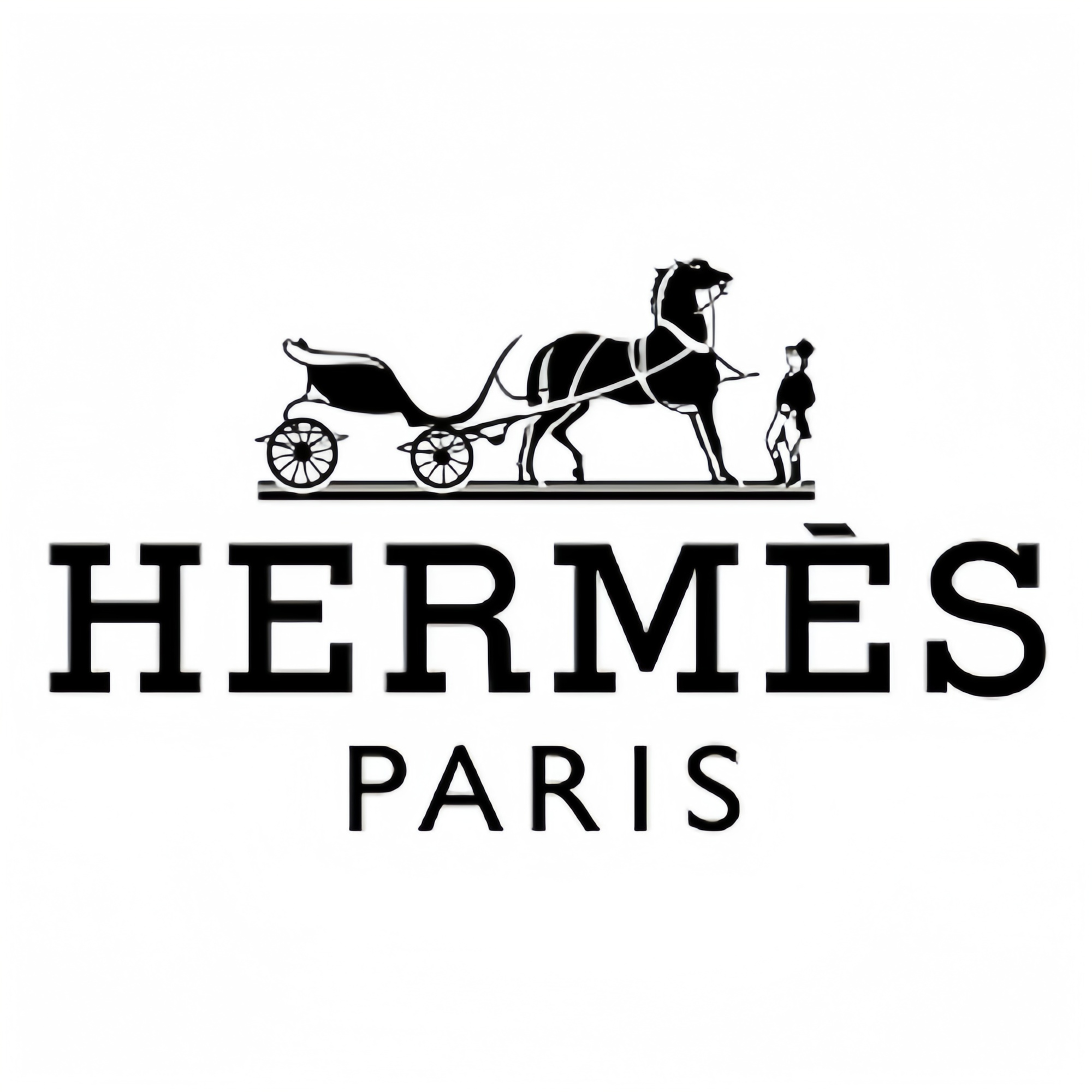 Hermes Bag